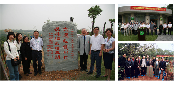 日本庆应义塾大学.jpg