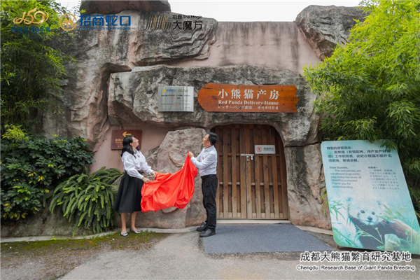 图片11.png