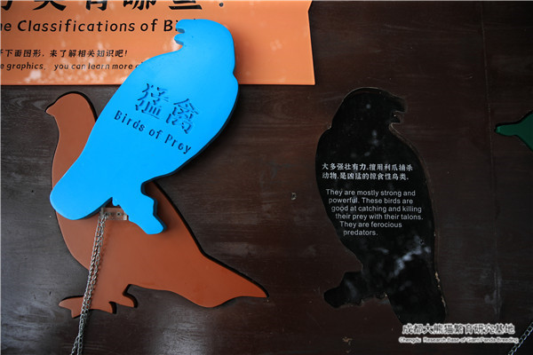 AR0I2042.JPG