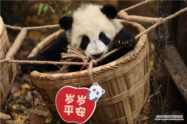 微信图片_20221230104548.jpg
