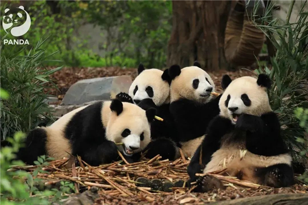 图片8.png