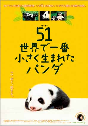 ff91c4dfd776717d41bbab962786899b.jpg