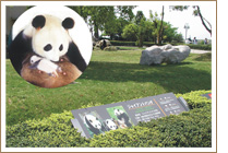 日本和歌山白浜野生动物园.jpg